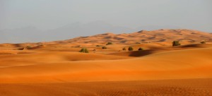 Wüste Dubai am Tag 