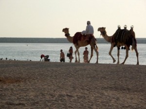 Strand Dubai Marina